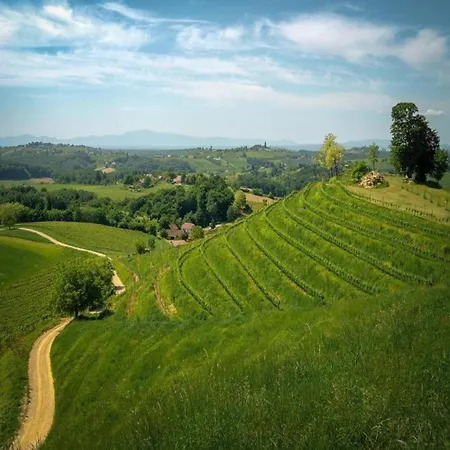Near Sandy Crikvenica