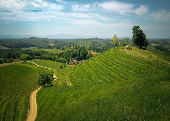 Near Sandy Crikvenica